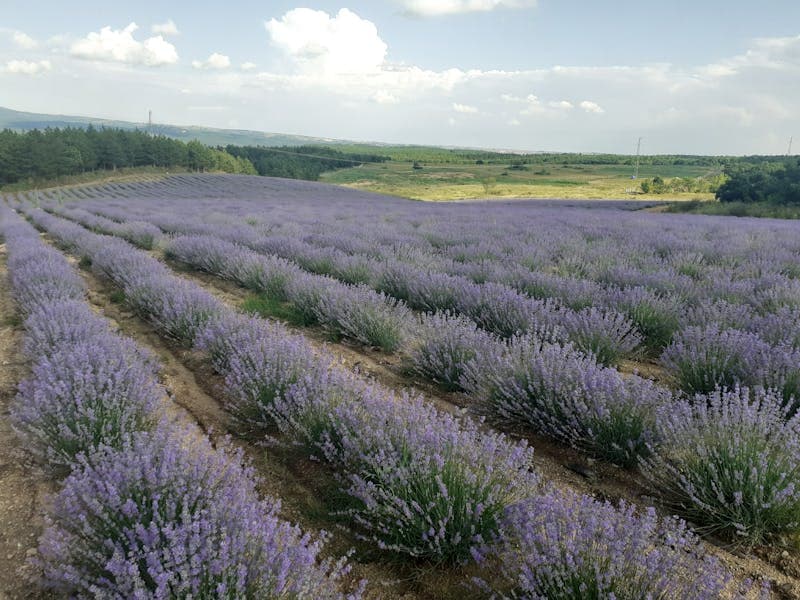 Pose de carrelage au sol